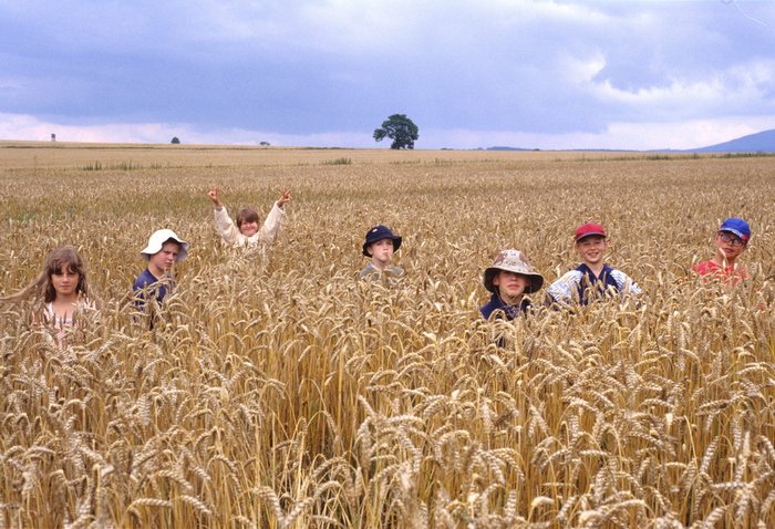 2000 tabor Calypsa Egypt 003 resize